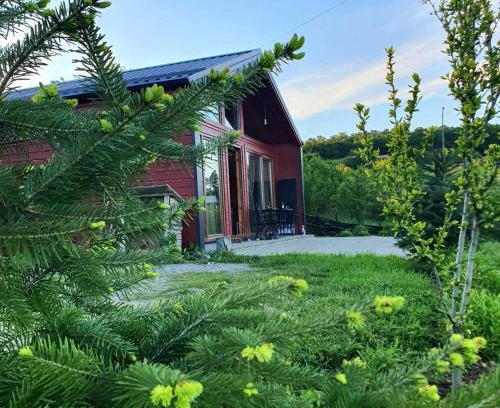 Kolovicë Villa | Villa Grashtica - Prishtina City