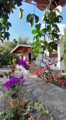 Curiti House | Villa Helena