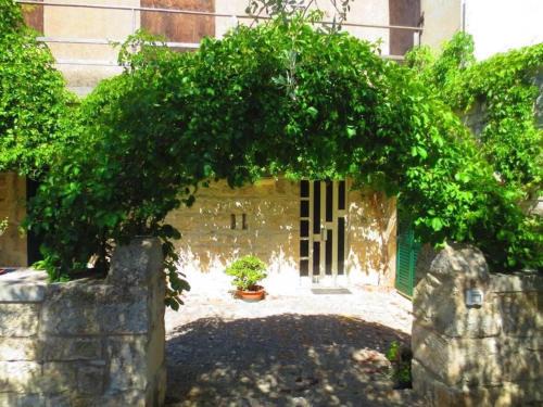 Casa Papa House | Villa Luce
