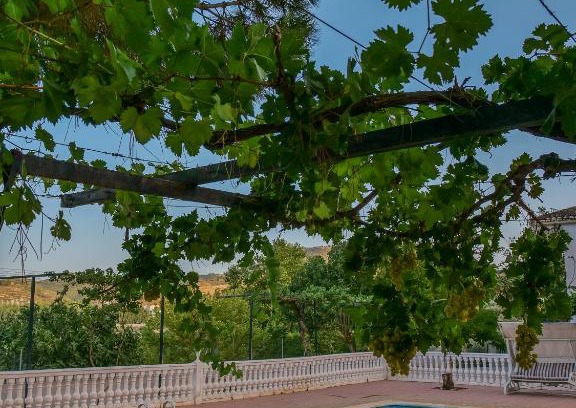 Fornes House | Villa Ricardo