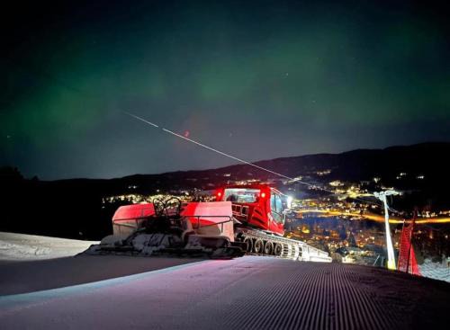 Lommedalen Apartment | Villa Tara