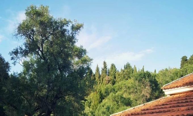 Afionas Villa | Villa with a private pool Afionas Corfu