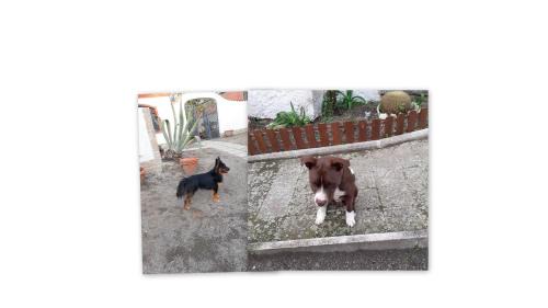 Mount Vesuvius - Pompei Bed & Breakfast | Villateresa