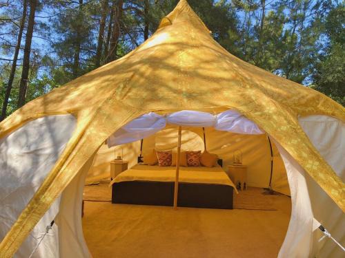 Asklipiio Other | VinSan Glamping & Wellness Centre