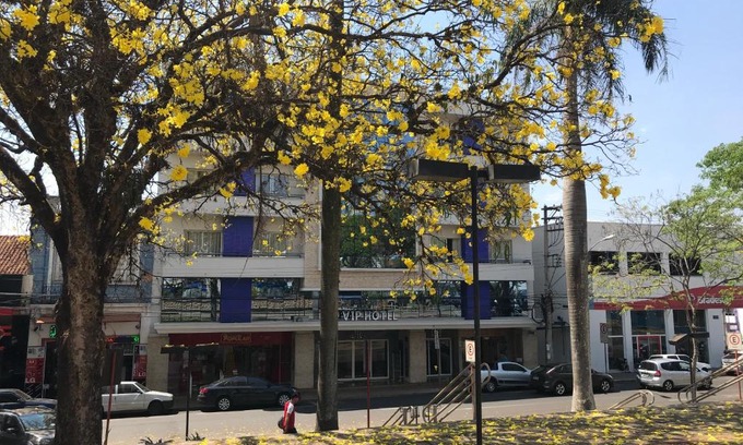 Jau Hotel | Vip Hotel