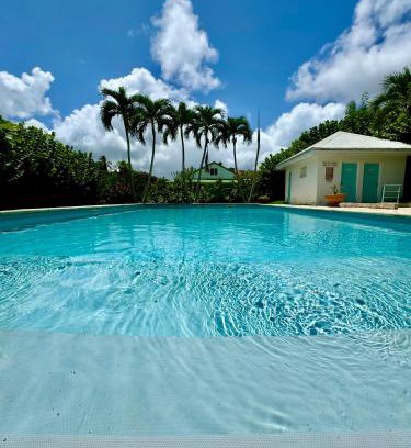 Bas du Fort Apartment | Vue mer et montagne, piscine, proche de la plage avec citerne d eau et parking