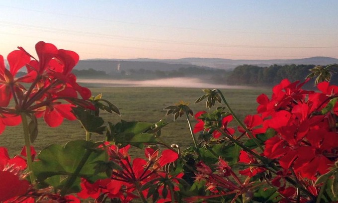 Dierdorf Hotel | WALDHOTEL