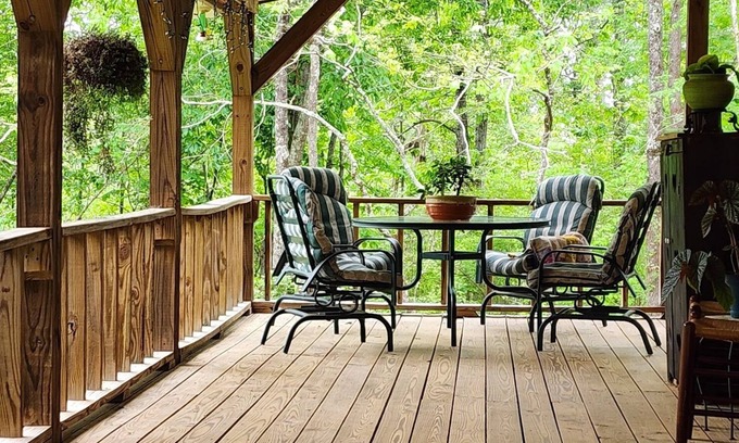 Blountsville Cabin | Watch the birds on a wrap-around porch. Very private and pet friendly.
