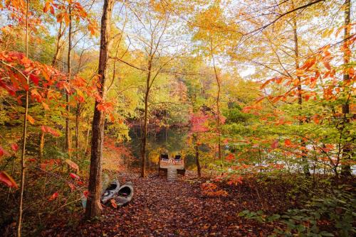 Rockbridge House | Waterfront A Frame with Dock Canoe Kayaks Family