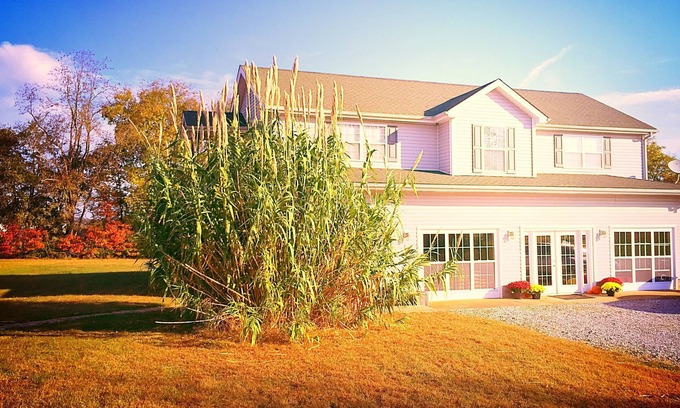Bowling Green House | WELCOME Cave Visitors! Clean, Peaceful Home in the Country. Game Room/Mini Gym!