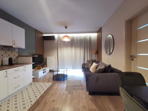 Podgorze Apartment | White Swan Apartment