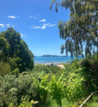Ngaio Bay House | Whitebait Point