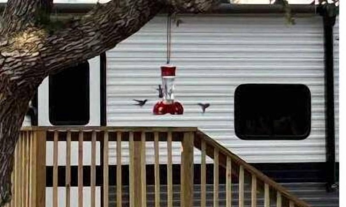Rockport House | “Whooperazzi” The Sunrise Bay View Camper
