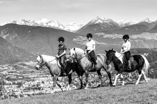 Bressanone House | Widmannhof - Urlaub auf dem Biobauernhof