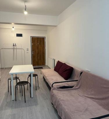Sector 4 Apartment | Wild nest king size bed