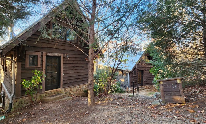 Cheshire Cabin | Wild Turkey’s Roost | Cozy Cabin w/Fireplace + Biltmore Pass