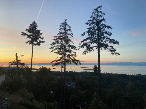 Regional District of Nanaimo House | Winchelsea Views
