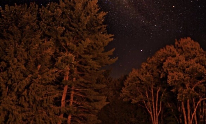 Town of Conesville Cabin | Windham 2 BR Cabin In The Woods With Bonus Vintage Updated Camper .
