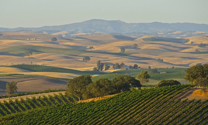 Paso Robles Villa | Wine Country Villa - 9 bedroom, 4 bath, Sleeps 25+