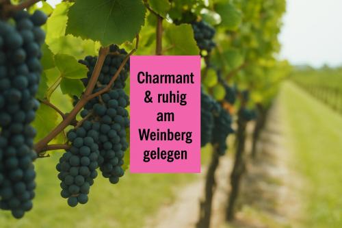 Roschbach Apartment | WINETIME - Apartment Roschbach - für bis zu 5 Personen - idyllisch an den Weinbergen der südlichen Weinstraße zwischen Landau und Neustadt gelegen