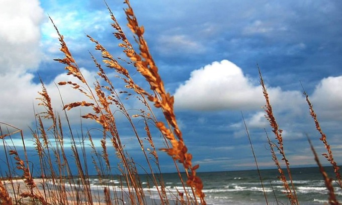Sunset Beach Cottage | Winter in Historic Artsy Cottage on Fabulous Sunset Beach!