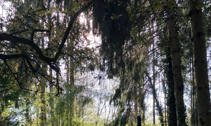 Berkoth Apartment | Wohliger Urlaub mit der Ganzen Familie in der Eifel mit Sauna