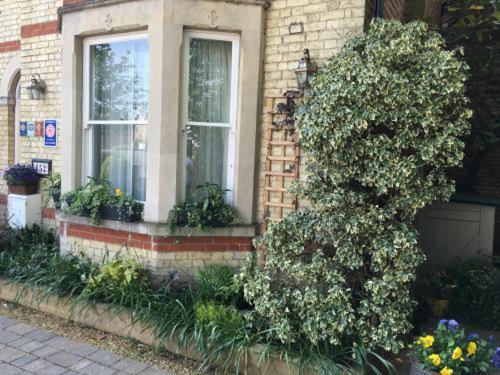 Cambridge House | Worth House