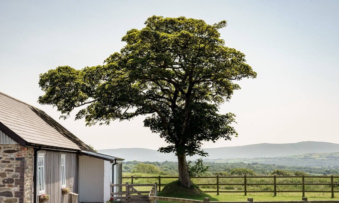 Newport Cottage | Y Cartws - 2 bedrooms, sleeping 4