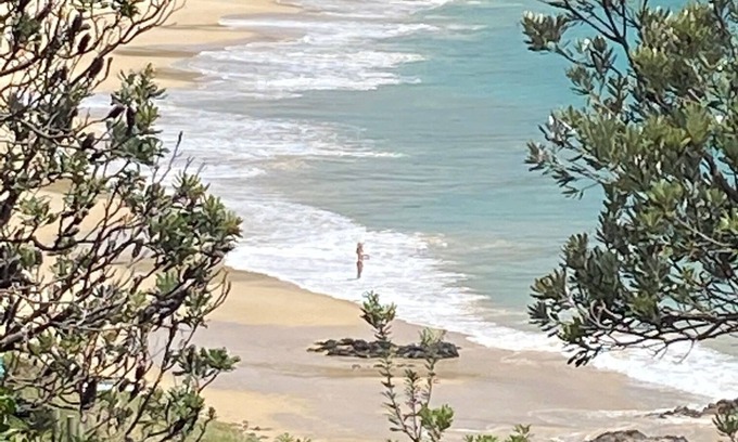 North Coast House | Yallumbee, Seal Rocks - Modern, Private Beach House In Prime Location