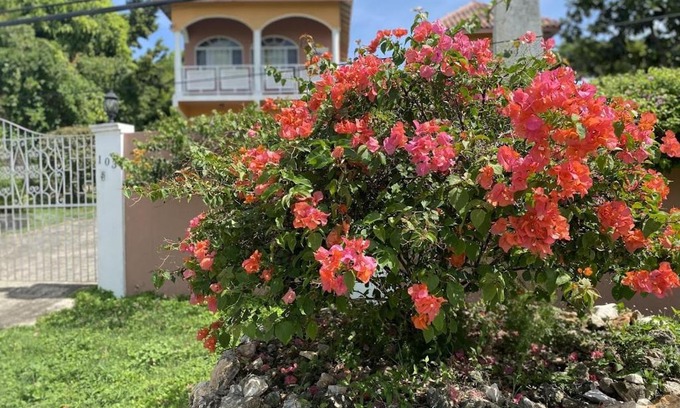 Albion Villa | YanceyLargo- 4BR Villa Jacuzzi & Mountain Views