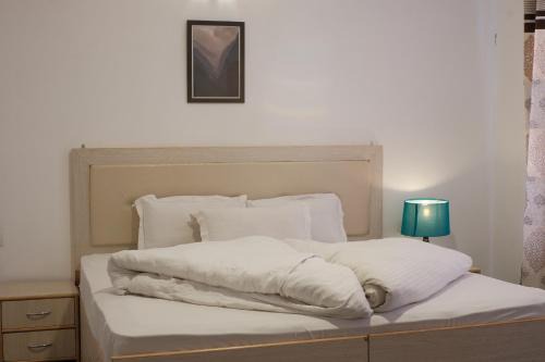 Leh House | Yangphel Guest house