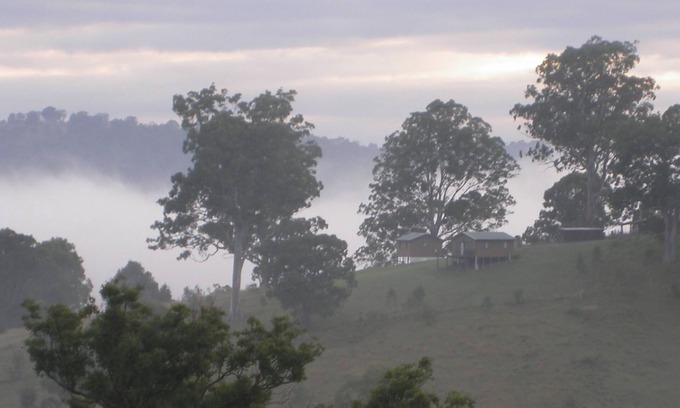 Brogo Cabin | Yasuragi Cabin 2 pet friendly bed and breakfast
