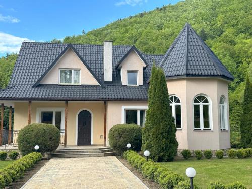 gmina Parzeczew Villa | Zamek