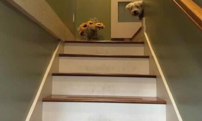 Avondale Apartment | Zelda's Tree House