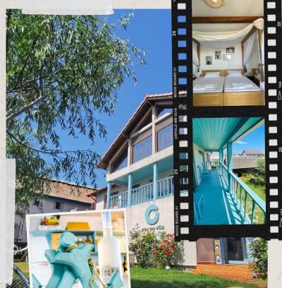 Sfantu Gheorghe Hotel | ZEN Eco Villa