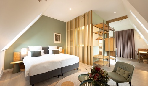 Junior Room, 1 King Bed