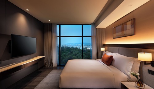 Deluxe, One Bedroom Suite