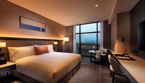 Executive Room, 1 King Bed