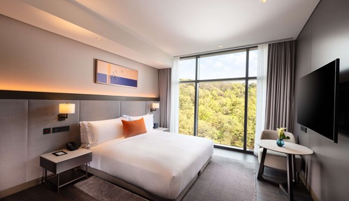 Room, 1 King Bed, Accessible