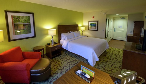 Room, 1 King Bed, Accessible