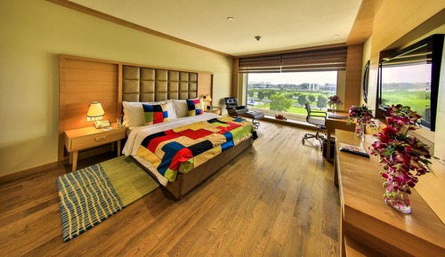 Room, 1 King Bed