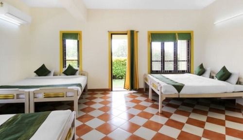 Family Room, Multiple Beds