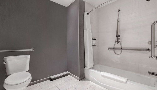 Room, 1 King Bed with Sofa bed, Accessible, Bathtub