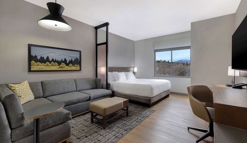 Room, 1 King Bed with Sofa bed