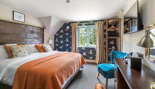 Deluxe Double or Twin Room