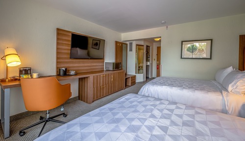 Standard Room, 2 Double Beds