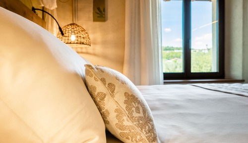 Comfort Room, Vineyard View