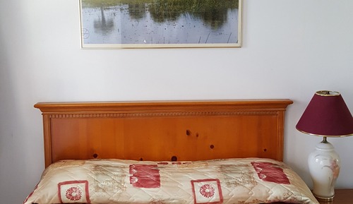 Standard Room, 1 Queen Bed