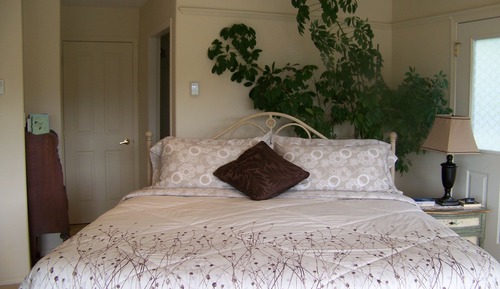Deluxe Studio Suite, 1 King Bed, Kitchenette (Hummingbird Suite)