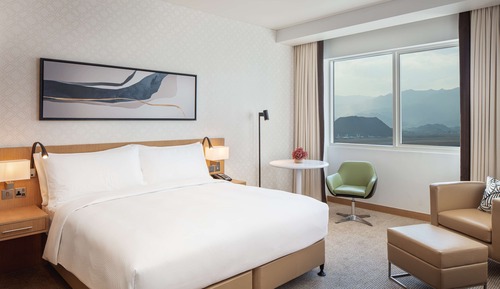 Standard Room, 1 King Bed, Accessible